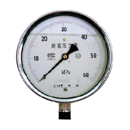 Y100徑向耐震充油壓力表螺紋M20x1.5